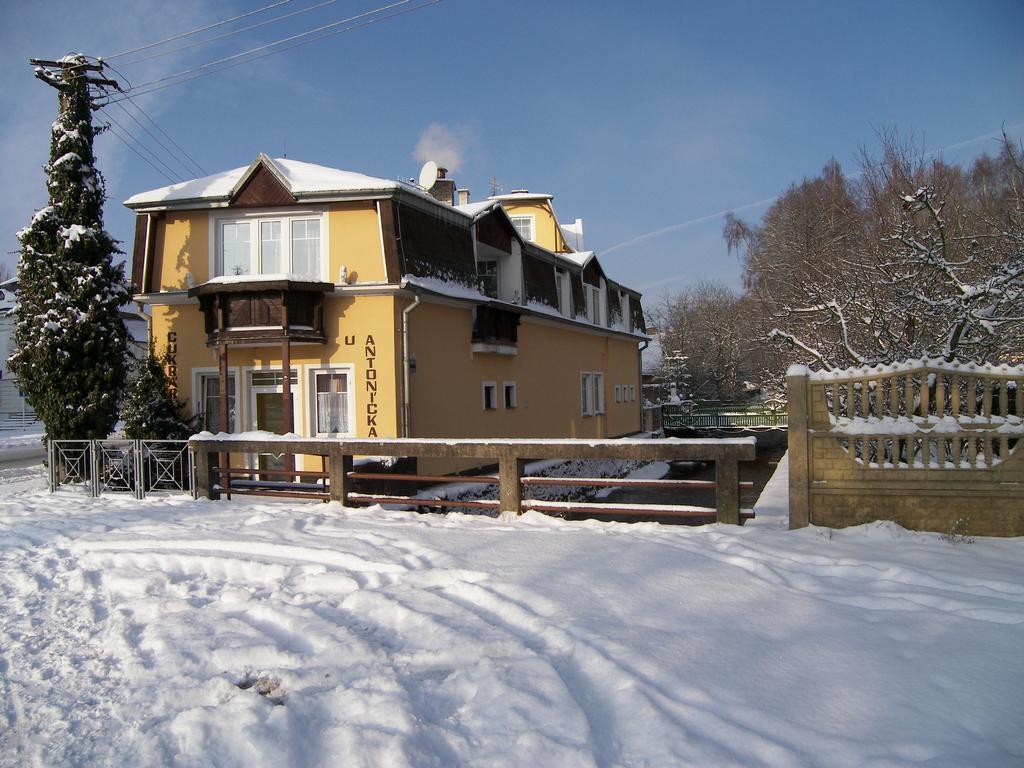Penzion U Antonickova Pramene Mariánské Lázně Exterior foto