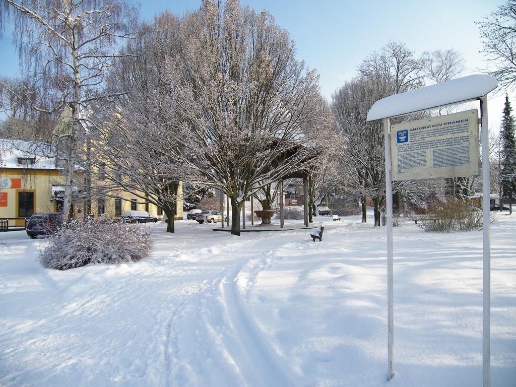 Penzion U Antonickova Pramene Mariánské Lázně Exterior foto